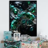 Emerald Explorations Ants - Green Ant Wall Art