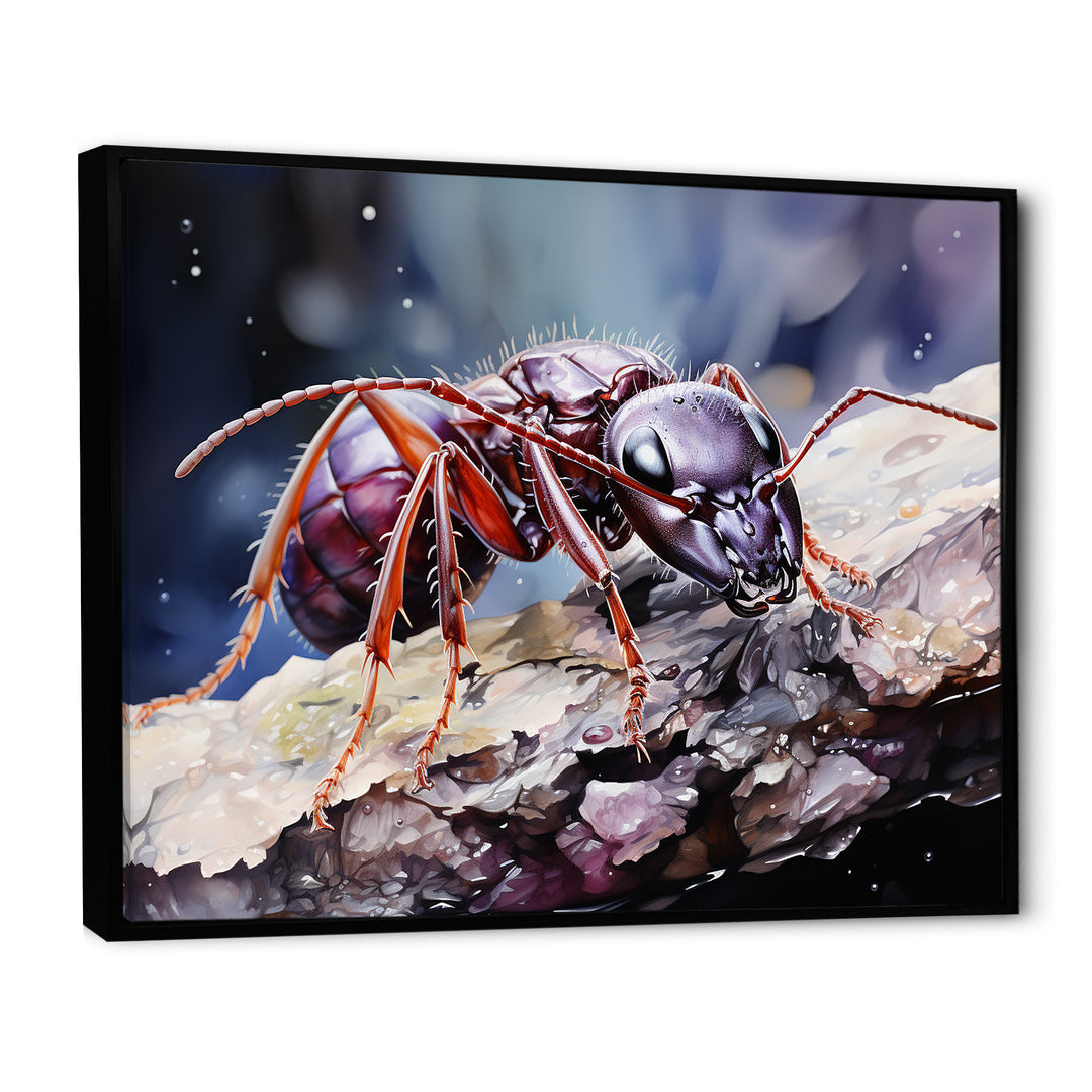 Enchanted Microcosm Amethyst Ant - Ant Framed Canvas Art