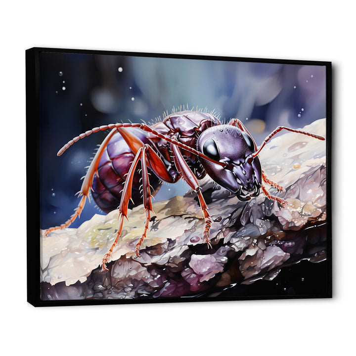 Enchanted Microcosm Amethyst Ant - Ant Framed Canvas Art