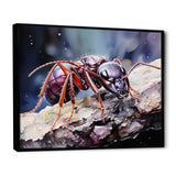 Enchanted Microcosm Amethyst Ant - Ant Framed Canvas Art