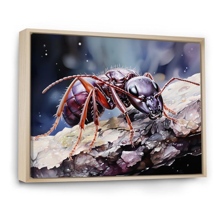 Enchanted Microcosm Amethyst Ant - Ant Framed Canvas Art