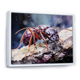 Enchanted Microcosm Amethyst Ant - Ant Framed Canvas Art