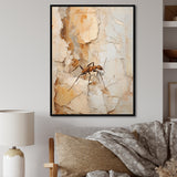 Minimalism Ant Beige Collage - Ant Framed Canvas Art