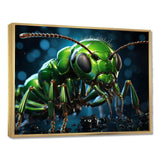 Neon Trailblazer Green Ant - Animals Canvas Wall Art