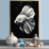 Golden Glint And Graphite A Butterflyfish - Butterfly Fish Wall Decor