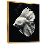 Golden Glint And Graphite A Butterflyfish - Butterfly Fish Wall Decor
