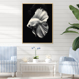 Golden Glint And Graphite A Butterflyfish - Butterfly Fish Wall Decor