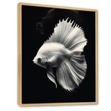 Golden Glint And Graphite A Butterflyfish - Butterfly Fish Wall Decor