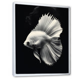 Golden Glint And Graphite A Butterflyfish - Butterfly Fish Wall Decor