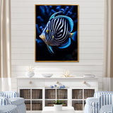 Coral Butterflyfish Indigo Intensity And Ivory - Butterfly Fish Wall Art Prints