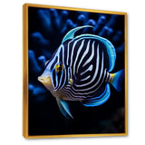 Coral Butterflyfish Indigo Intensity And Ivory - Butterfly Fish Wall Art Prints