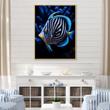 Coral Butterflyfish Indigo Intensity And Ivory - Butterfly Fish Wall Art Prints