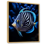 Coral Butterflyfish Indigo Intensity And Ivory - Butterfly Fish Wall Art Prints