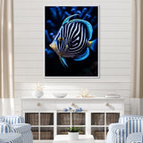 Coral Butterflyfish Indigo Intensity And Ivory - Butterfly Fish Wall Art Prints