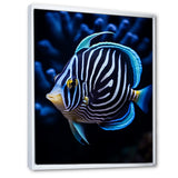 Coral Butterflyfish Indigo Intensity And Ivory - Butterfly Fish Wall Art Prints