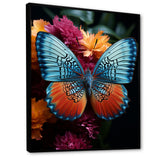 Butterfly Pearl Patterns And Plum - Butterfly Wall Art Prints