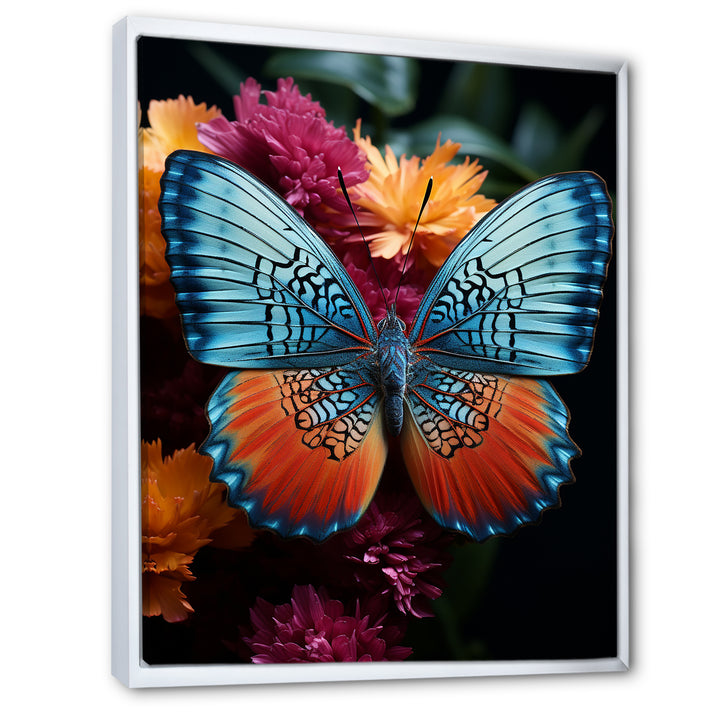 Butterfly Pearl Patterns And Plum - Butterfly Wall Art Prints