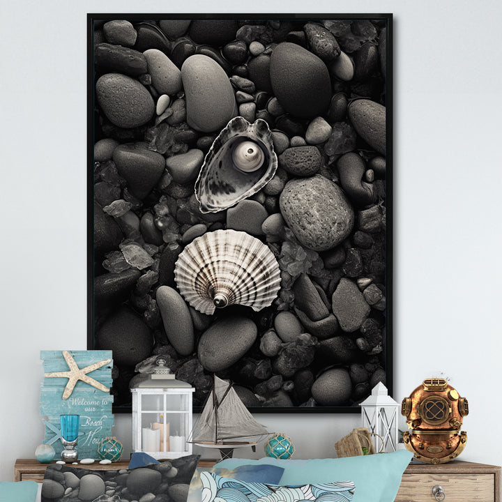 Monochrome Seashells &amp; Stones - Gray Seashell Wall Art