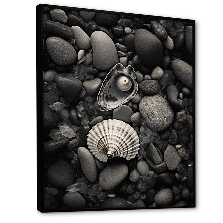 Monochrome Seashells &amp; Stones - Gray Seashell Wall Art