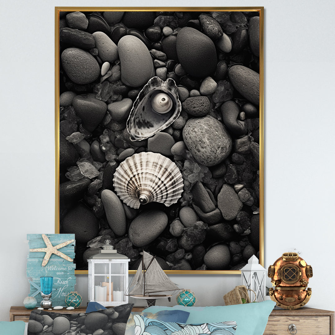 Monochrome Seashells &amp; Stones - Gray Seashell Wall Art