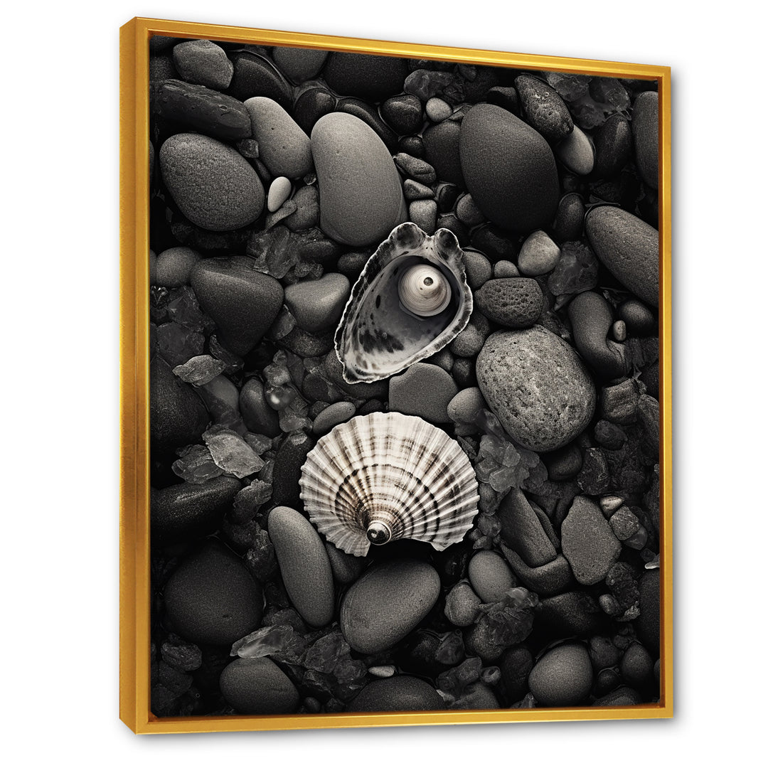 Monochrome Seashells &amp; Stones - Gray Seashell Wall Art
