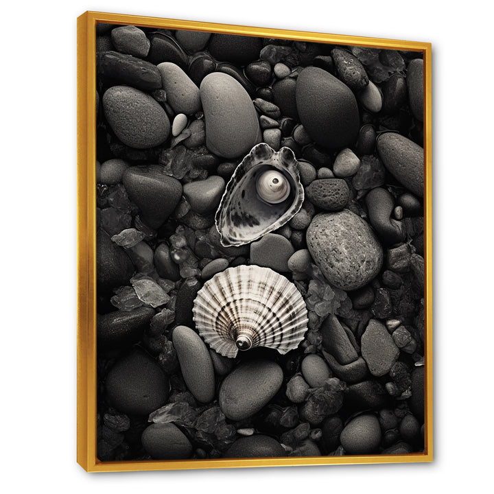 Monochrome Seashells &amp; Stones - Gray Seashell Wall Art