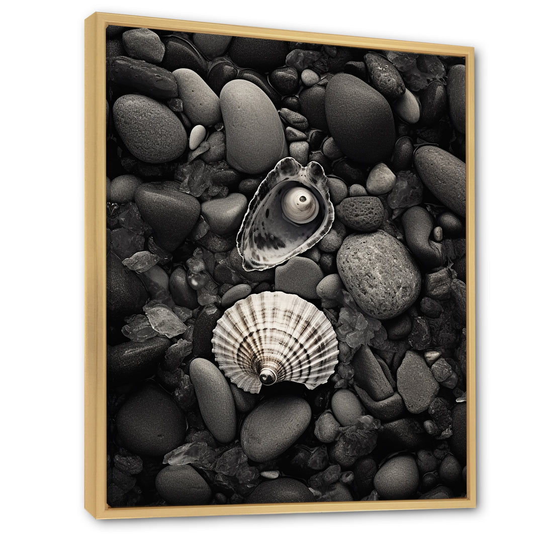 Monochrome Seashells &amp; Stones - Gray Seashell Wall Art