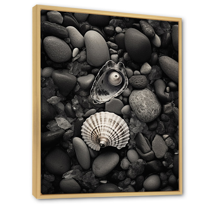 Monochrome Seashells &amp; Stones - Gray Seashell Wall Art