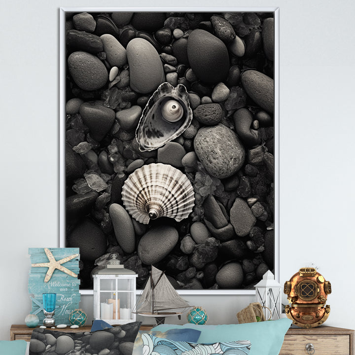 Monochrome Seashells &amp; Stones - Gray Seashell Wall Art