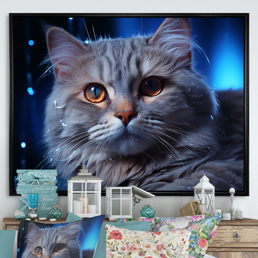 Blue British Shorthair Majesty Cat - Cat Framed Canvas Art