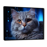Blue British Shorthair Majesty Cat - Cat Framed Canvas Art