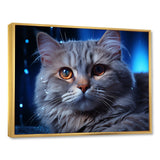 Blue British Shorthair Majesty Cat - Cat Framed Canvas Art