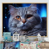 Blue British Shorthair Majesty Cat - Cat Framed Canvas Art