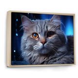 Blue British Shorthair Majesty Cat - Cat Framed Canvas Art