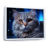 Blue British Shorthair Majesty Cat - Cat Framed Canvas Art