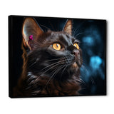 Burmese Beauty Black Cat - Cat Large Canvas Wall Art