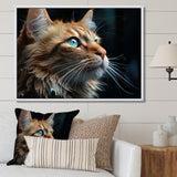 Chartreux Contemplation Cat Eyes - Cat Canvas Wall Art