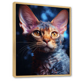 Devon Rex Dream Cat - Cat Wall Decor