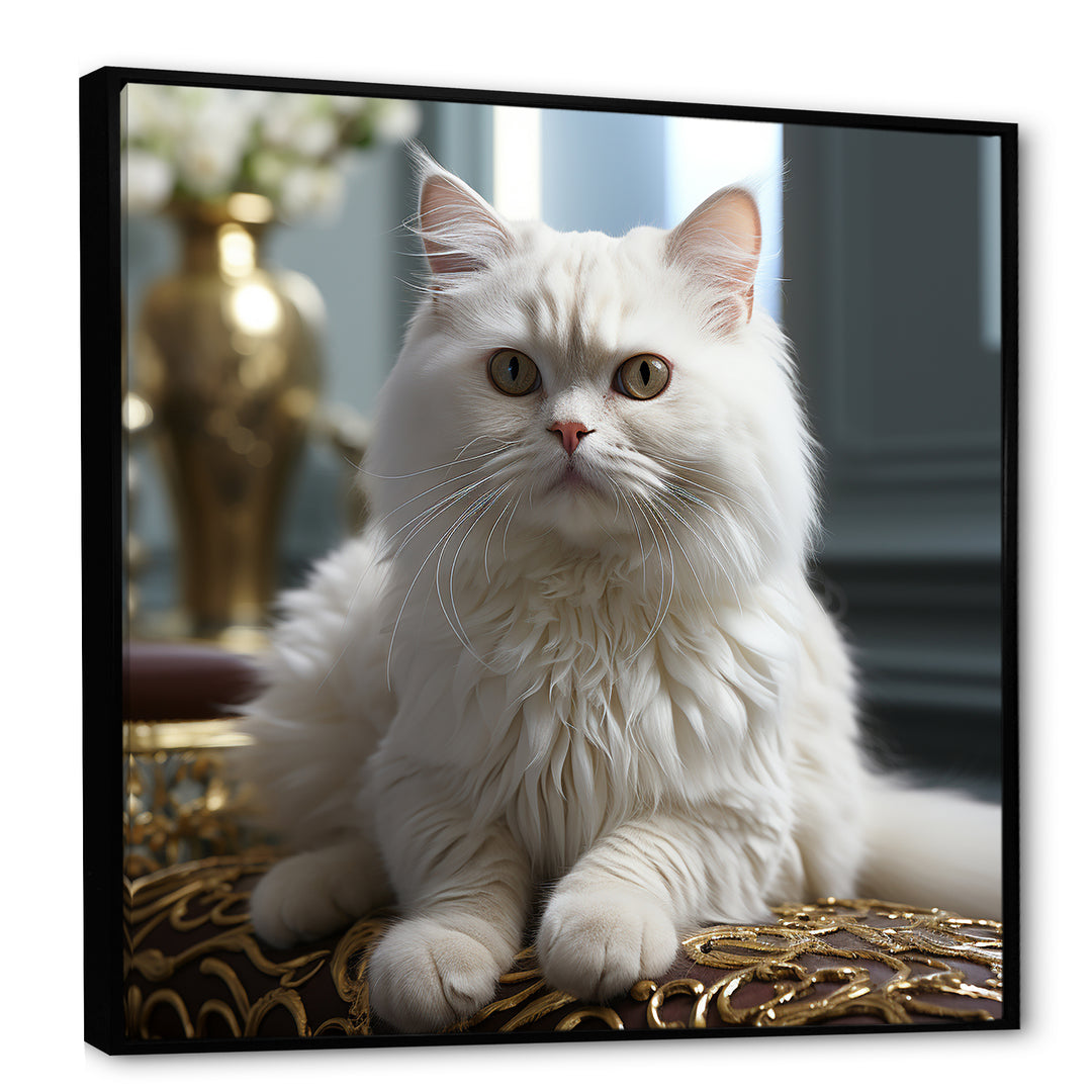 Exotic Shorthair Elegance Cat - Cat Wall Art Prints