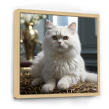 Exotic Shorthair Elegance Cat - Cat Wall Art Prints