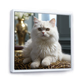 Exotic Shorthair Elegance Cat - Cat Wall Art Prints