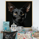 Oriental Elegance Black Cat Portrait - Black Cat Wall Art
