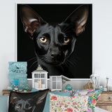 Oriental Elegance Black Cat Portrait - Black Cat Wall Art
