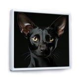 Oriental Elegance Black Cat Portrait - Black Cat Wall Art