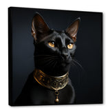 Oriental Opulence Cat Portrait - Cat Framed Canvas Art