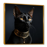 Oriental Opulence Cat Portrait - Cat Framed Canvas Art