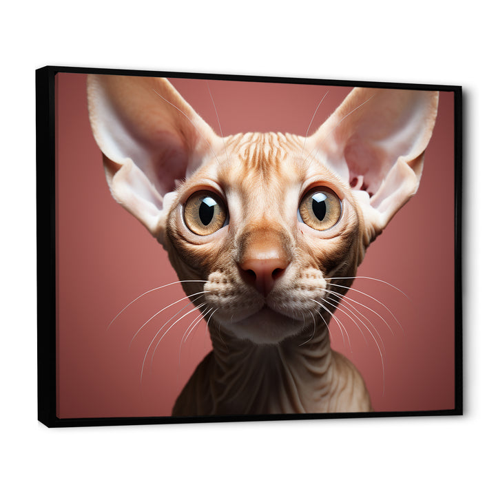 Peterbald Playfulness Cat Portrait - Cat Bedroom Wall Art
