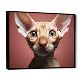 Peterbald Playfulness Cat Portrait - Cat Bedroom Wall Art