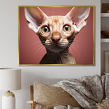 Peterbald Playfulness Cat Portrait - Cat Bedroom Wall Art