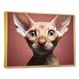 Peterbald Playfulness Cat Portrait - Cat Bedroom Wall Art